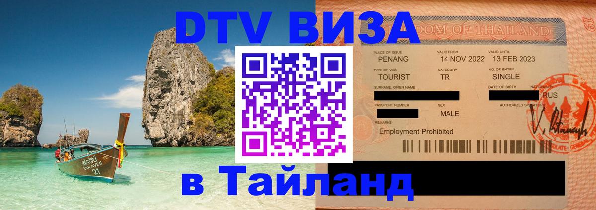 Оформление DTV визы под ключ: стоимость и тарифы, только загранпаспорт - 18.11.2025 